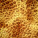 002 Afrikas - 3-lagig